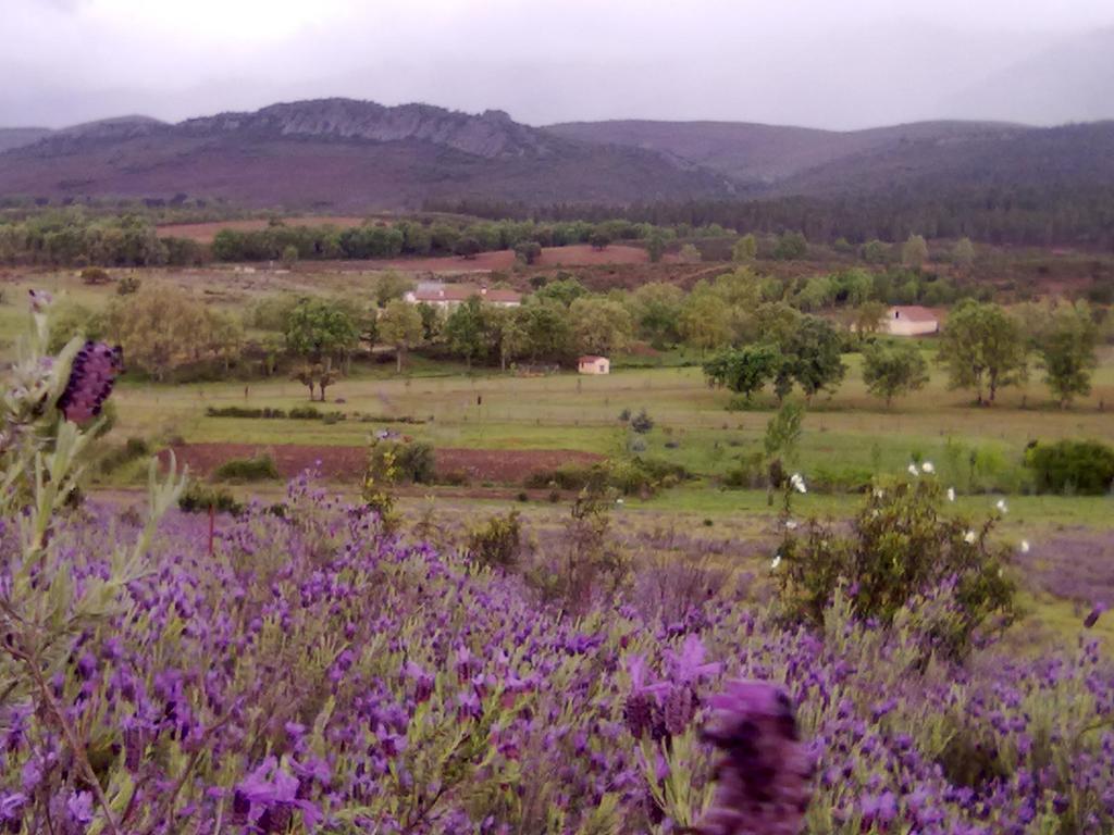 Las Lucias, Experiencias De Ecoturismo Navatrasierra Esterno foto